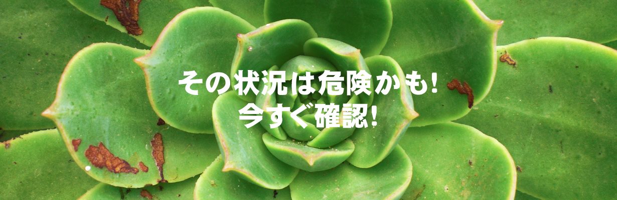 その状況は危険かも！今すぐ確認！